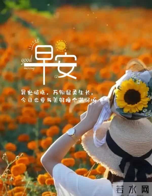 2025年12月09日早上好 早上好温馨问候祝福语 早安精美图片 周二愉快