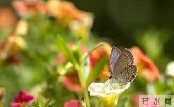 有专家预测:用不了10年,生男孩家庭不再吃亏,三个原因很真实!