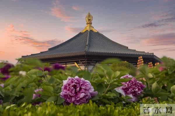 女人很容易“动情”的四种男人，不论年龄多大，女人都爱。