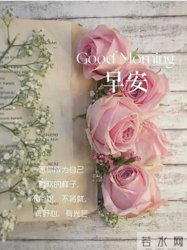 12月10日早上好 早上好温馨问候图片 早安图片最新今天 周三快乐