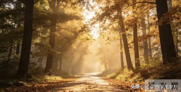 别问来得及与否,即刻启程,时光自会成全你