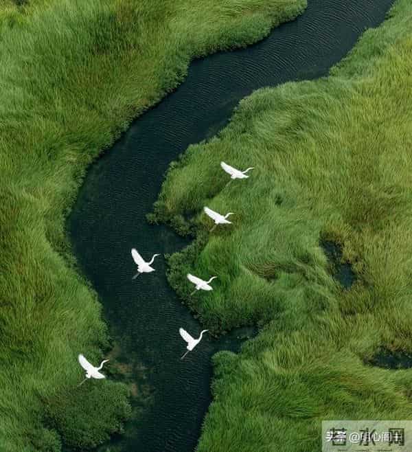 丧偶不仅仅是缘分已尽，而是告诉你，新的人生要重新开始了