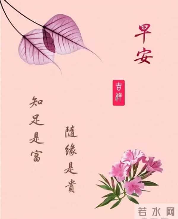 晨安伴暖，心随景柔