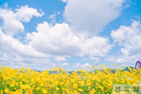 老了才明白:父母一旦超过73,立刻停止4种行为,否则晚景会凄凉