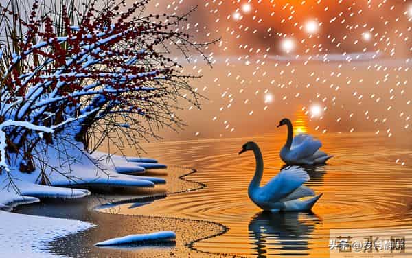 惊人的因果关系:男女之间,一旦发生了暧昧关系,一辈子也忘不了