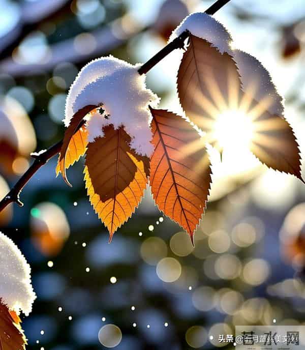 人间冬已深，岁月有相逢