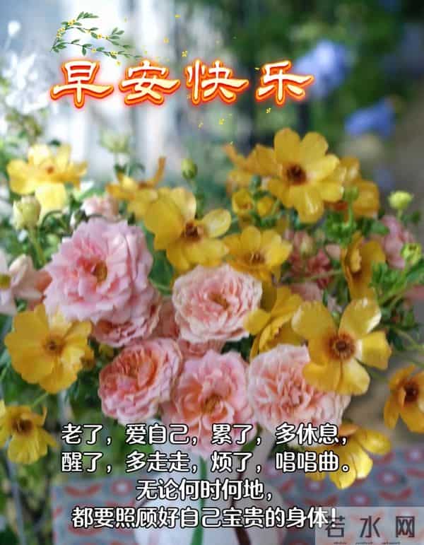 12月10日早上好 早上好温馨问候图片 早安图片最新今天 周三快乐