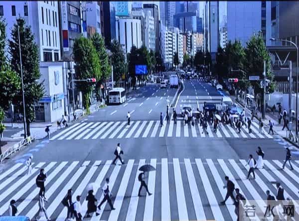 认知=认(清)+知(行):一套让你突破思维瓶颈的底层心法