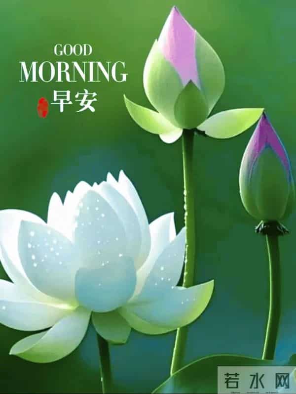 2025.12.09 冬天周二早安愉快!最新精美周二早上好温馨祝福语图片