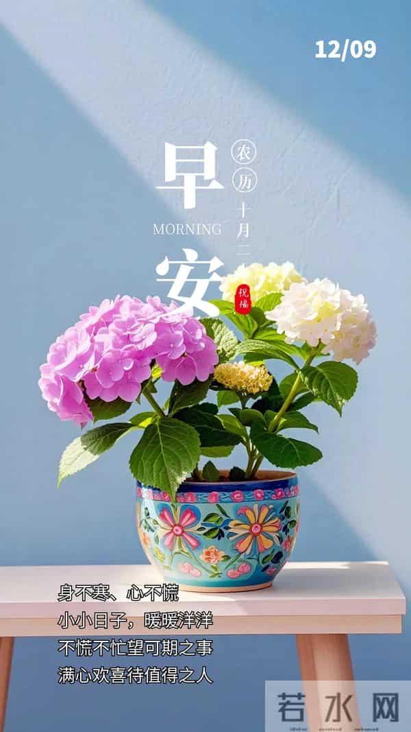 天寒舔衣,事事顺意|2025.12.9周二早安祝福文案图片壁纸海报