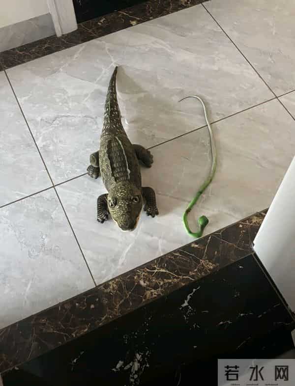 用一张没有孩子的照片，证明你有孩子！网友哭喊：此刻已不是少年