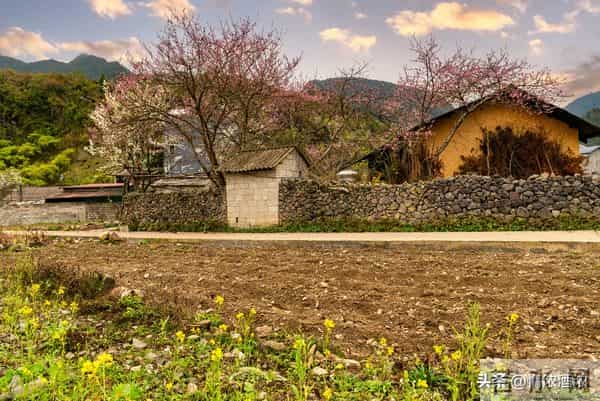 我退休金8600，老伴去世后，和农村女人搭伙，没想日子能过成这样