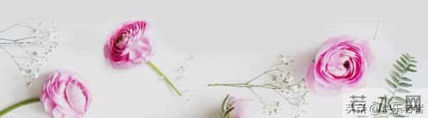 散文-云远风轻藏岁月，念深岁暖慰平生