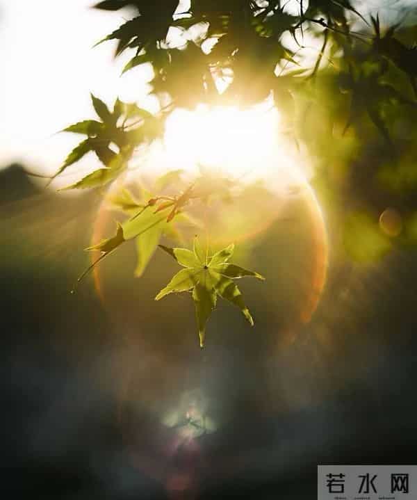 早上，这样发，开始正能量满满的一天