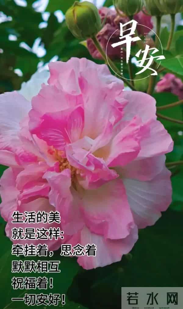 2025年12月09日早上好 早上好温馨问候祝福语 早安精美图片 周二愉快