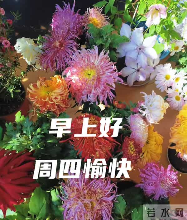 2025年12月11日早上好 早上好温馨问候祝福语 早安精美图片 周四愉快