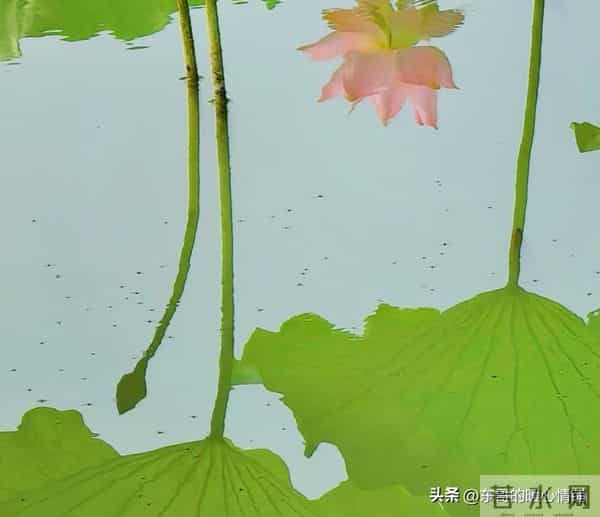 征服中年女人的真招，不在嘴皮子上，而是“距离产生美”