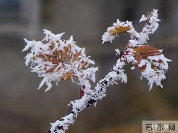 女人动了情,其实不会叫你“老公”,而是叫四个称呼