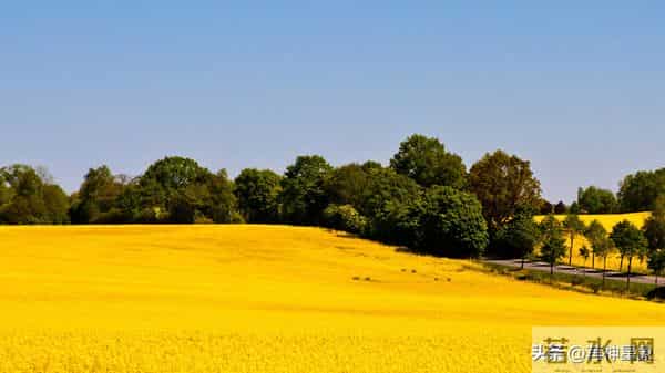 12月10日至12月19日,金牛座,星期三,小事即将发生!