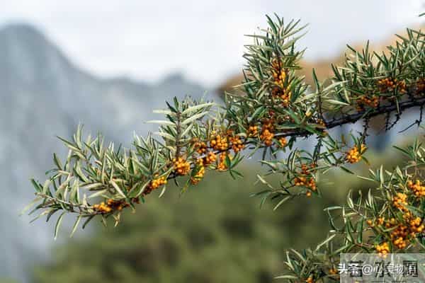 男人爱你”和“男人玩你”，身体语言不会说谎。