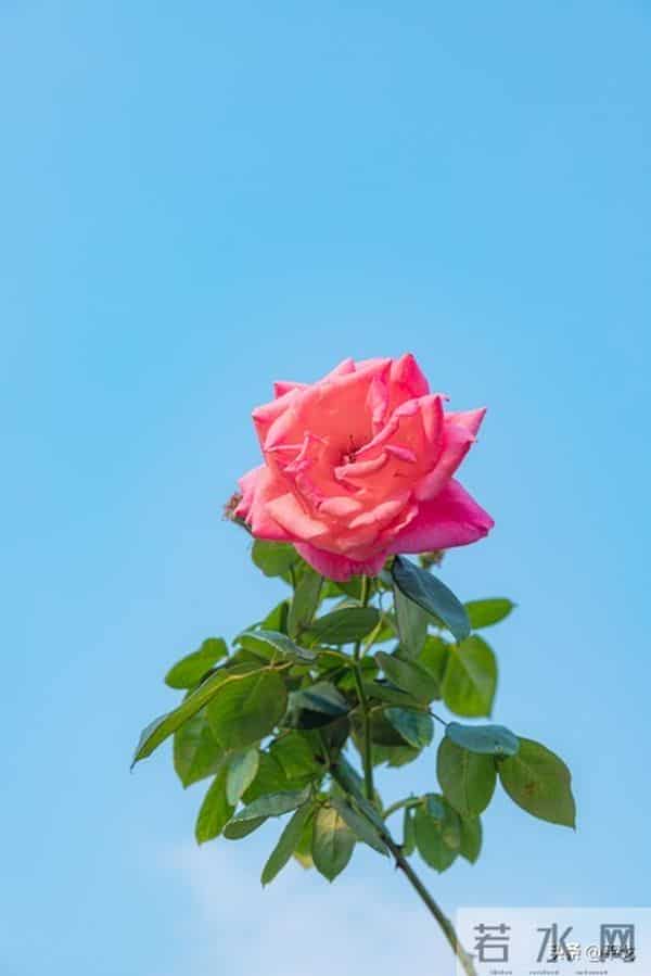 两性关系,女人可以搂着睡,亲她的嘴,但千万别全信她说的话