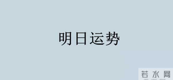 处女座 - 12月9日 - 明日运势