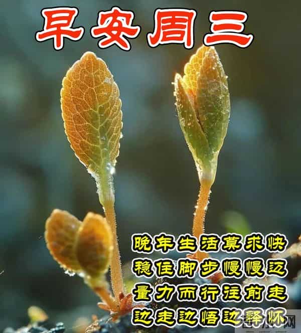 周三早安问候美图-静下心来找愉快，事事处处都精彩