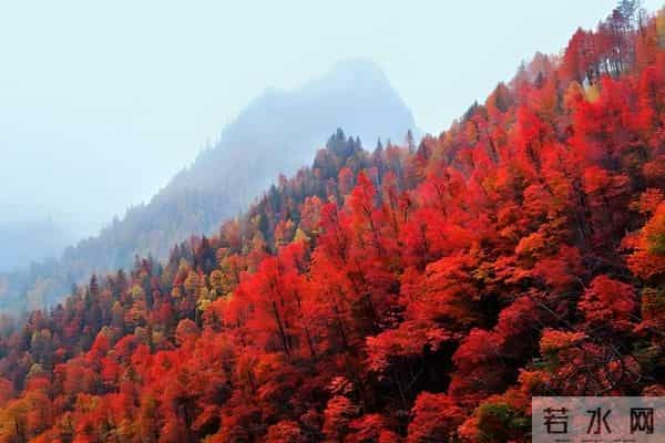 女人动了情，往往不喊老公，而是用这几种称呼