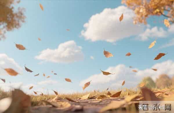 我准备了套房让我妈养老,谁知她刚住进来,我哥一家三口也来了