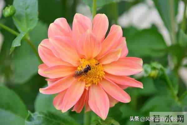 背叛，是一场理智的蓄谋已久！是深思熟虑的算计