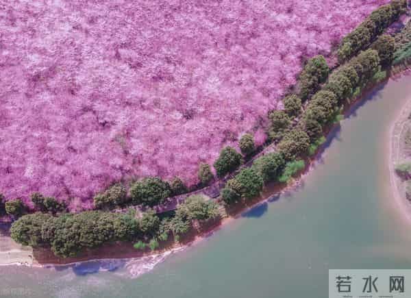 白羊座和这个星座的灵魂默契:王侯宅里弄丝竹,适我愿兮