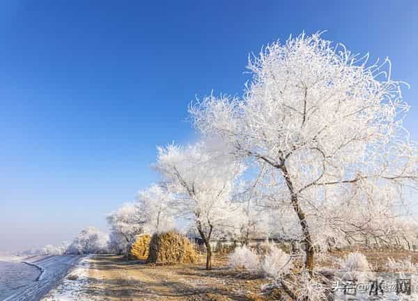 男人在这4个时刻抱住女人，女人基本不会拒绝