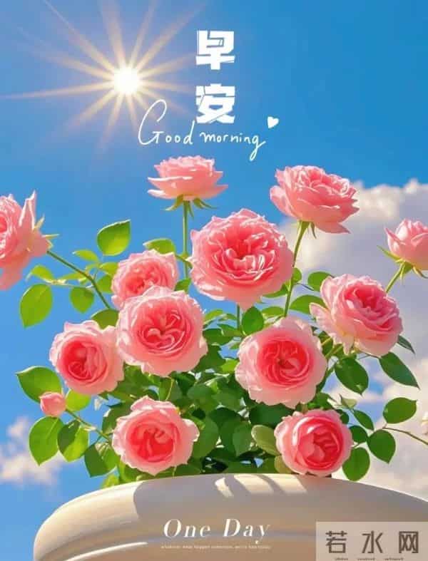 2025.12.09 冬天周二早安愉快!最新精美周二早上好温馨祝福语图片