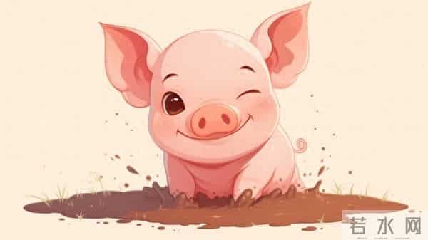 属猪人！五十五还是一事无成：不是你不努力，是你不懂这四个字