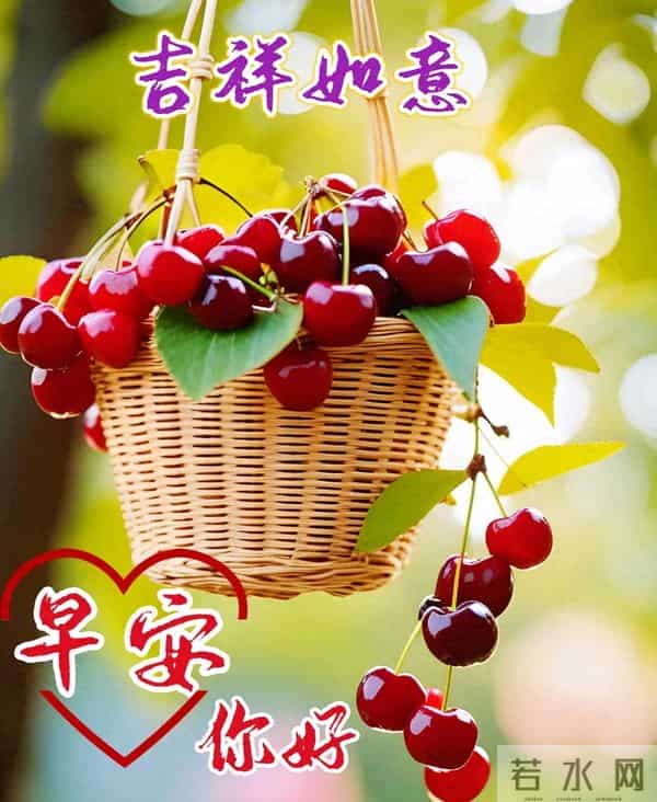 接住我的心意，愿你平安健康常伴，日日好心情！早上好！