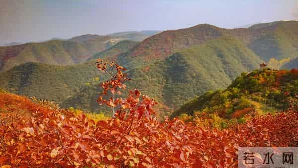 女人动了情，往往不喊老公，而是用这几种称呼