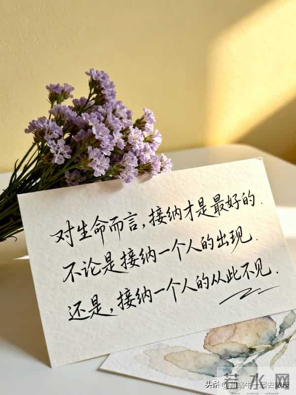 治愈文案 - 理想的生活状态：情绪自由，人身自由，财务自由