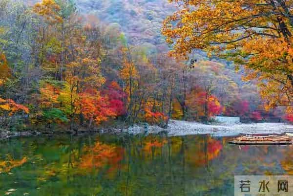 老了才明白：父母一旦超过65，立刻停止几种行为，否则晚景会凄凉