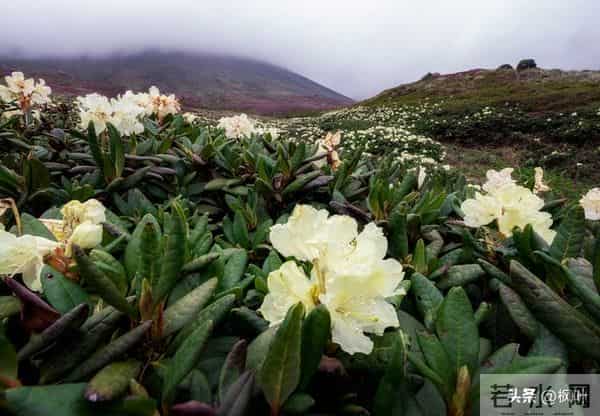 两性关系:多数女性步入60岁,最藏不住的4个渴望,你真的明白吗