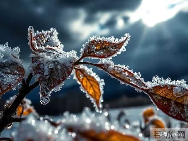 女人动了情,其实不会叫你“老公”,而是叫四个称呼