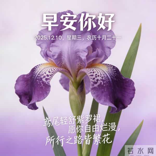 2025.12.10 早安祝福 围巾手套御严寒 亲友叮咛情意暖 早安幸福万年长