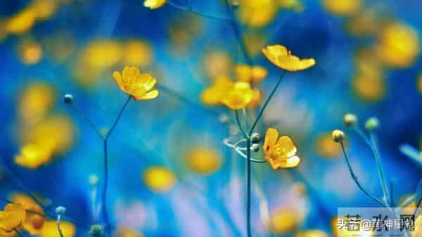 12月10日，巨蟹座，未来9日，会有事即将发生！