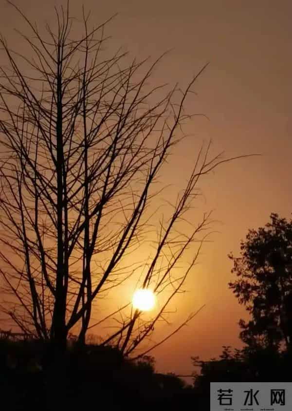 女人老牛吃嫩草是什么感觉？几位女人说了心里话，男人得听听！