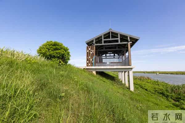 找死最快的三种方式：精神内耗，好色，懒