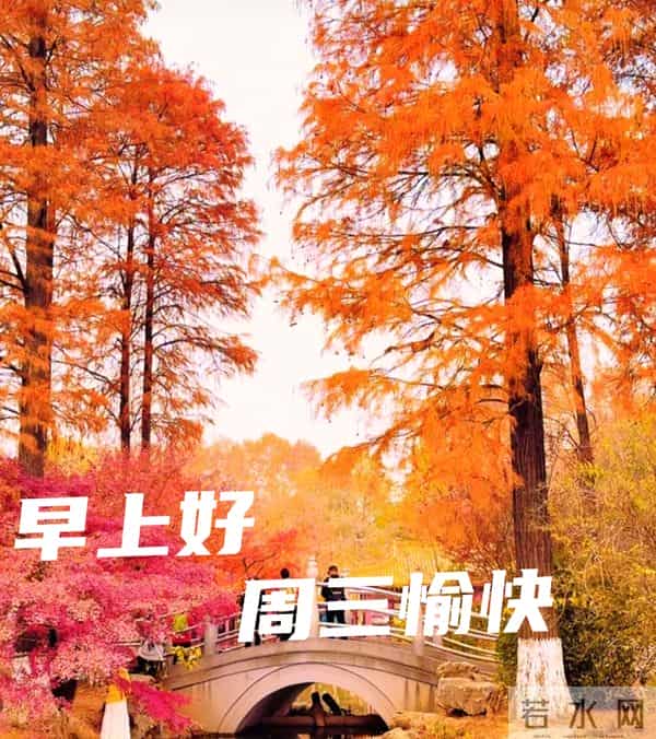 周三早安愉快 早上好温馨问候祝福语 最新早安精美图片 周三愉快