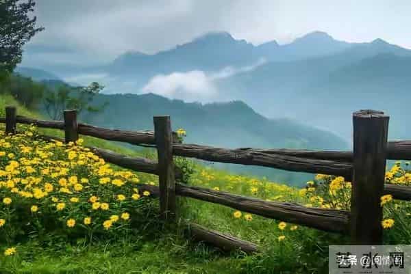 异性接近,女人跟本不是怕你动手脚,而是怕这三个无解的问题!