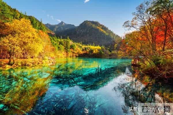 人生的道路上想活的通透快乐,就一定要远离四种人