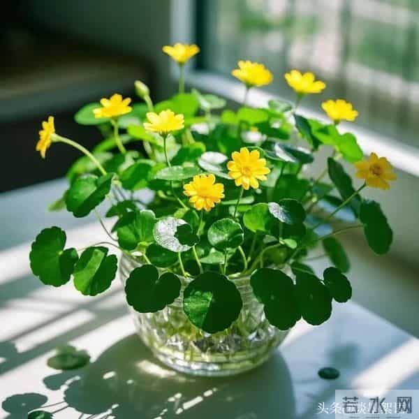 聪明是天赋,善良是选择:知世故而不世故,才是顶级善良