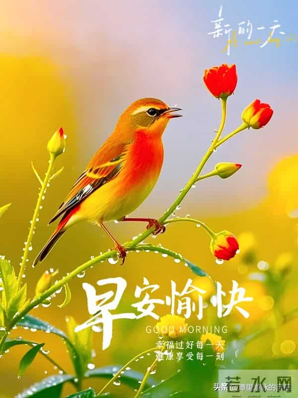 “周三早安这样发,心情美丽、身体棒棒、生活旺旺~”