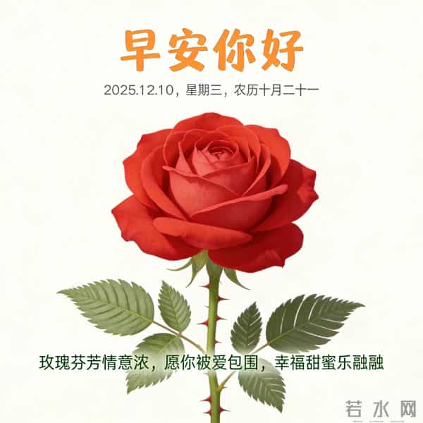 2025.12.10 早安祝福 围巾手套御严寒 亲友叮咛情意暖 早安幸福万年长
